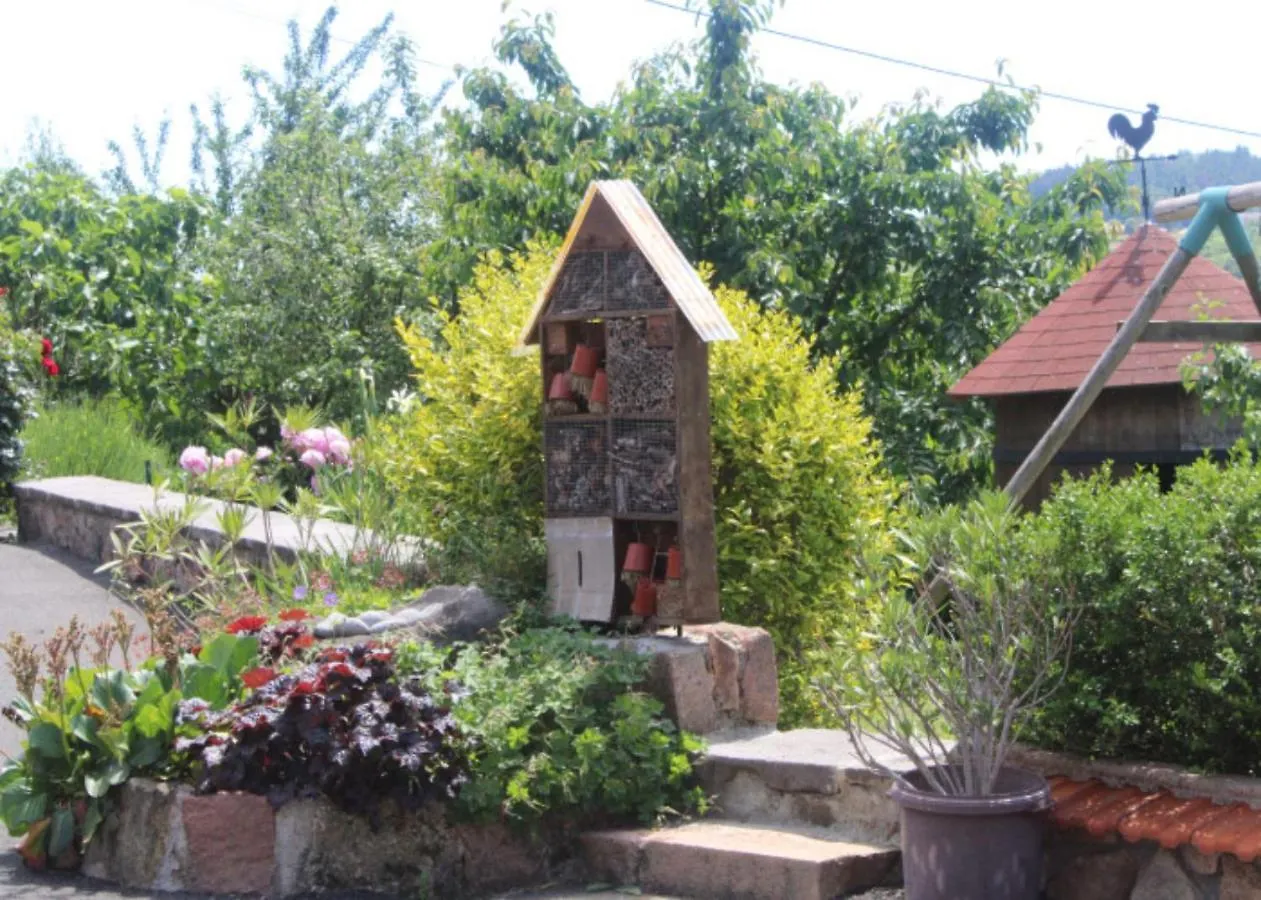 Gite Les Cerisiers Sevelinges France