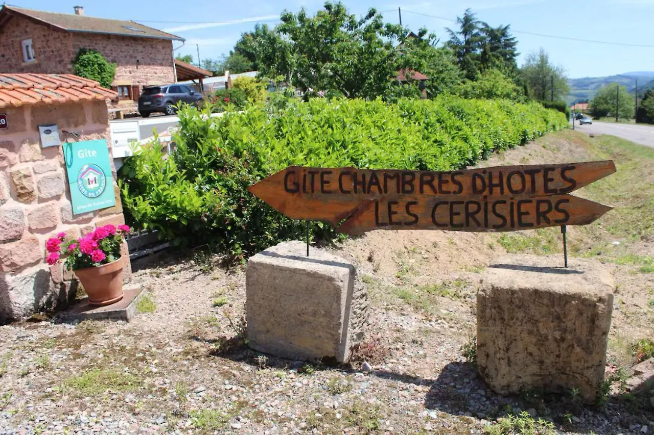 Holiday home Gite Les Cerisiers Sevelinges France